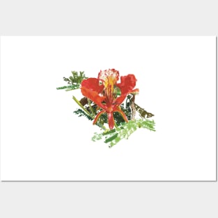 ʻŌhai flower, native Hawaiian flowering shrub Posters and Art